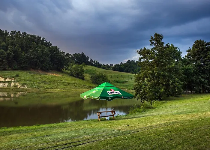 Dam Complex * Palici